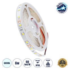 LOC LED Of Cyprus - GLOBOSTAR® LILAC 70140 Ταινία LED 6W/m 660lm/m 120° DC 12V IP20 60 x SMD2835 Chip/m Ψυχρό Λευκό 6000K Dimmable - Sanan SMD Chip - Μ500 x Π0.8 x Υ0.1cm - Ρολό 5 Μέτρων - 5 Χρόνια Εγγύηση