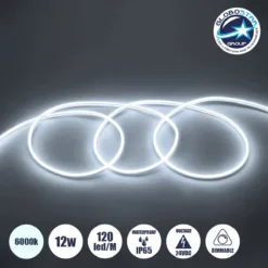 LOC LED Of Cyprus - GLOBOSTAR® NEOVALE 70560 Ταινία Neon Flex LED 12W/m 1080lm/m 120° DC 24V Αδιάβροχο IP65 120 x SMD2835 Chip/m Ψυχρό Λευκό 6000K Dimmable - Sanan SMD Chip - Μ100 x Π0.8 x Υ1.6cm - 3 Χρόνια Εγγύηση